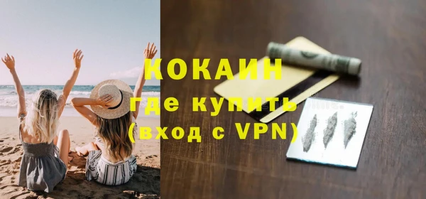 шишки Дмитров
