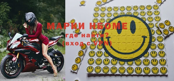 шишки Дмитров