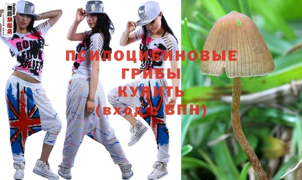 шишки Дмитров
