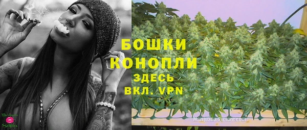 шишки Дмитров