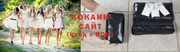 шишки Дмитров