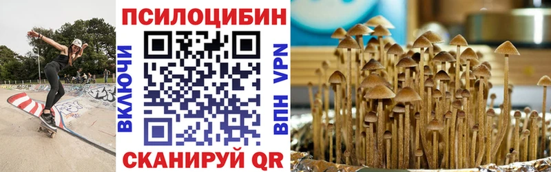 Галлюциногенные грибы Psilocybe  mega ONION  Мамадыш 